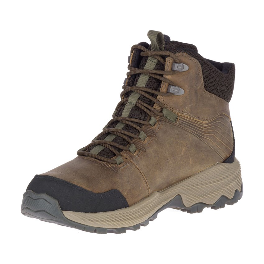 Chaussures Randonnée Merrell Forestbound Mid Waterproof Marron Homme | H.A.ZGNT